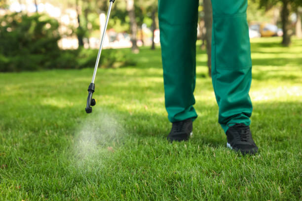 Trusted Virginia Beach, VA Pest Control Experts
