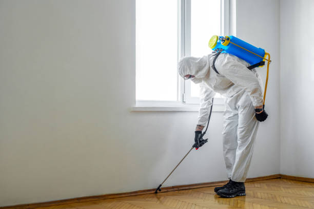 Best Pest Control for Homes  in Virginia Beach, VA