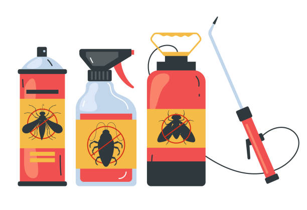Best Pest Control Near Me in Virginia Beach, VA