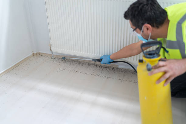 Best Pest Inspection Near Me  in Virginia Beach, VA