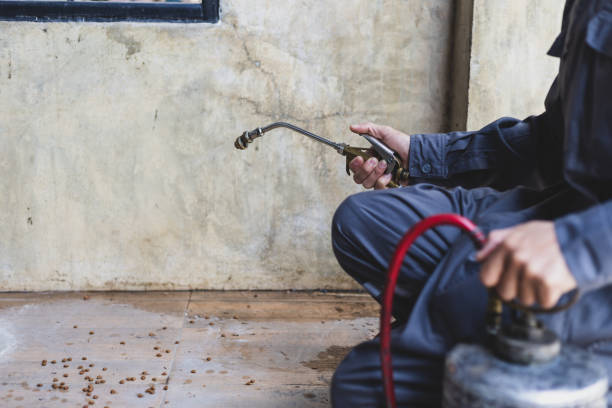 Best Best Pest Control Companies  in Virginia Beach, VA